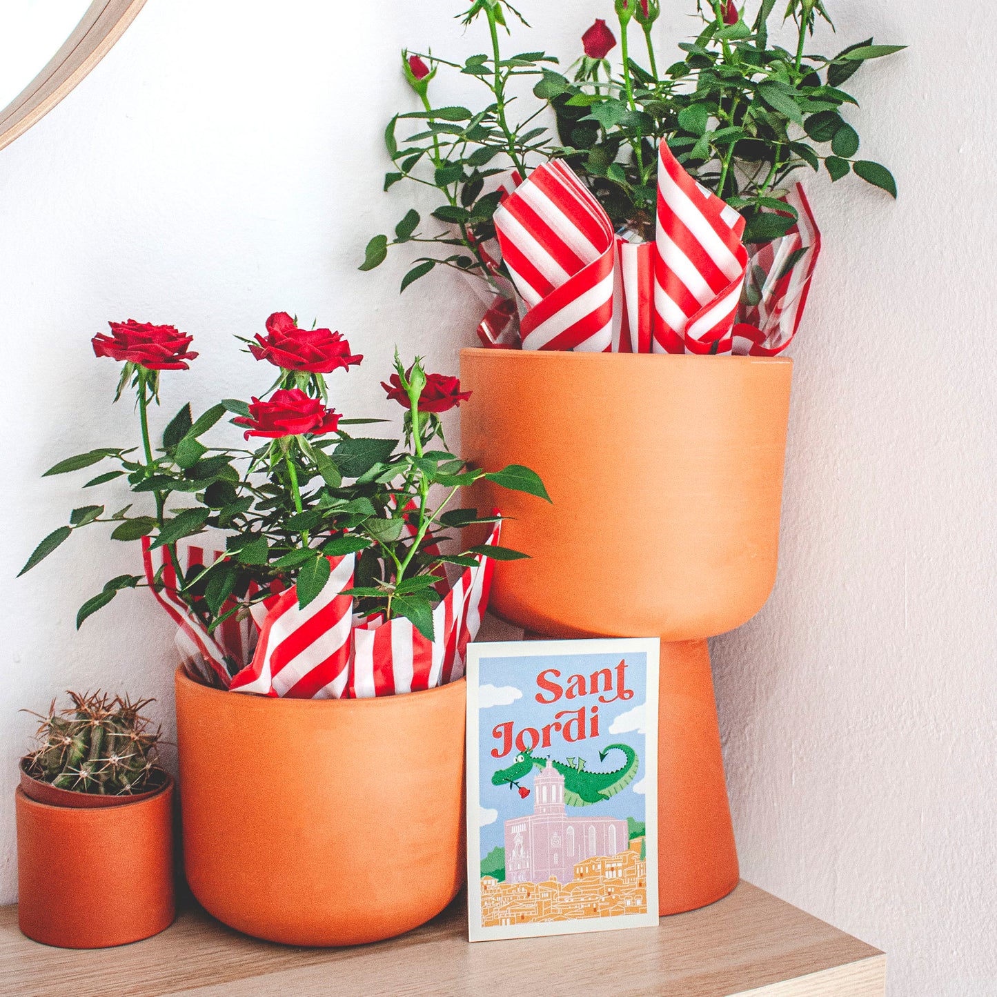 Pack de cuatro postales Sant Jordi